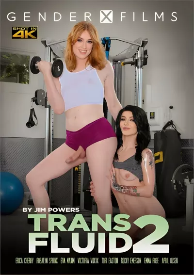 Trans Fluid 2