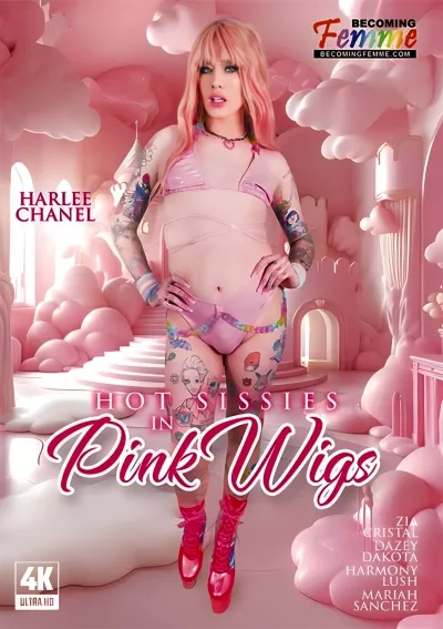 Hot Sissies in Pink Wigs