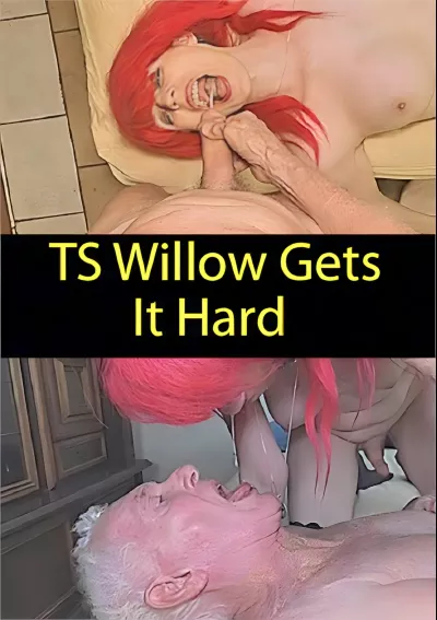 TS Willow Gets It Hard